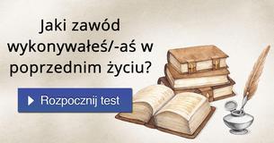 Jaki zawód wykonywałeś/-aś w poprzednim życiu?