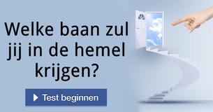 Welke baan zul jij in de hemel krijgen? 