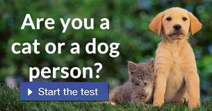 Are you a cat or a dog person?