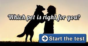 Which pet is right for you
