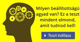 Milyen beállítottságú agyad van? Ez a teszt mindent elmond, amit tudnod kell!