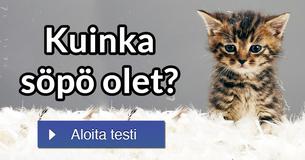 Kuinka söpö olet?