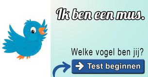 Welke vogel ben jij?