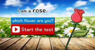 Welche Blume bist Du?