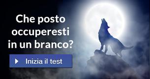 Che posto occuperesti in un branco?