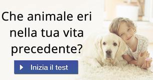 Che animale eri nella tua vita precedente?