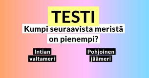 Sain 9/10 oikein. Yleistietotesti