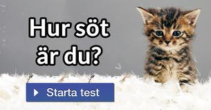 Hur söt är du?