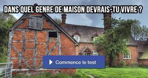 Dans quel genre de maison devrais-tu vivre ?