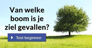 Van welke boom is je ziel gevallen? 
