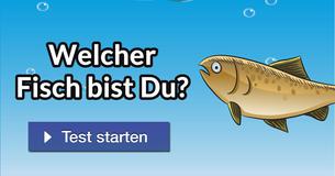Welcher Fisch bist Du?