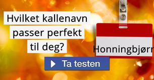 Hvilket kallenavn passer perfekt til deg?
