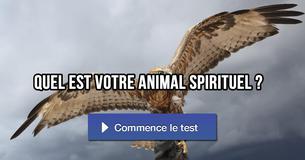 Quel est votre animal spirituel ?
