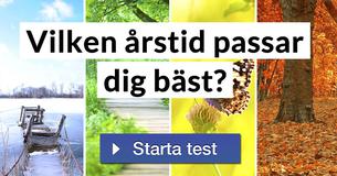 Vilken årstid passar dig bäst?