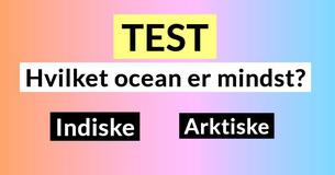 Jeg scorede lige 9/10. Quiz om almen viden