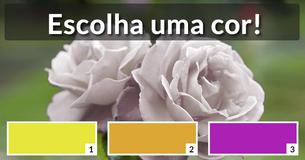 Qual flor você é?