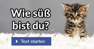 Wie süß bist du?
