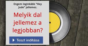 Melyik dal jellemez a legjobban? 