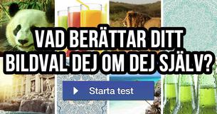 Vad berättar ditt bildval dej om dej själv?