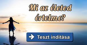Mi az életed értelme?
