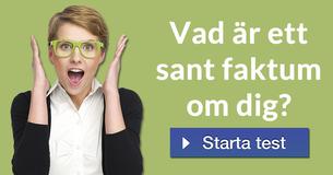 Vad är ett sant faktum om dig?