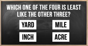 Can You Get A Perfect Score In This Unique IQ Exam?