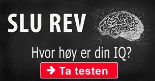 Hvor høy er din IQ?