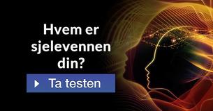 Hvem er sjelevennen din?