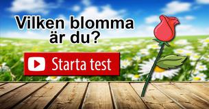 Vilken blomma är du? 