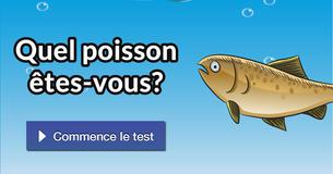 Quel poisson êtes-vous?