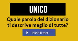 Quale parola del dizionario ti descrive meglio di tutte?