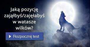 Jaką pozycję zająłbyś/zajęłabyś w watasze wilków?