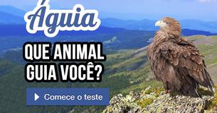 Que animal guia você?