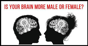Do You Have A Male Or Female Brain?