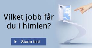 Vilket jobb får du i himlen?