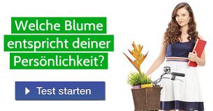 Welche Blume entspricht deiner Persönlichkeit?