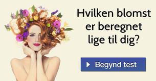 Hvilken blomst er beregnet lige til dig?