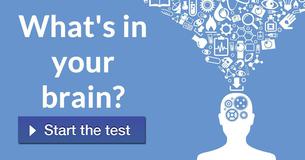 What's in your brain?