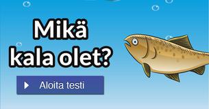 Mikä kala olet?