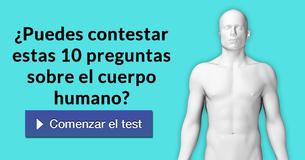 ¿Puedes contestar estas 10 preguntas sobre el cuerpo humano?
