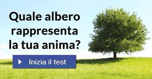 Quale albero rappresenta la tua anima?