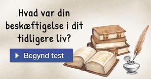 Hvad var din beskæftigelse i dit tidligere liv?