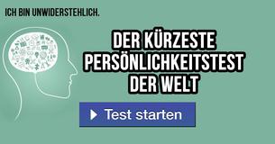 Der kürzeste Persönlichkeitstest der Welt