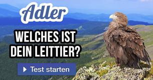Welches ist dein Leittier?