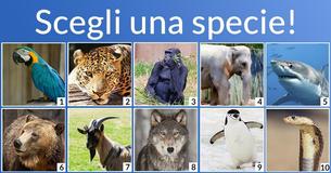 Che miscela di animali sei?