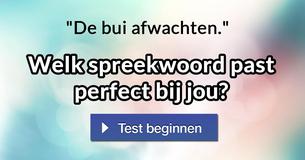 Welk spreekwoord past perfect bij jou? 