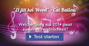 Welcher Song aus 2014 passt zu deiner Persönlichkeit?