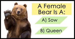 Only Americans With A PhD Passed This Animal Vocabulary Test. Can You?
