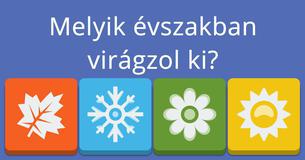 Mire rendeltettél?