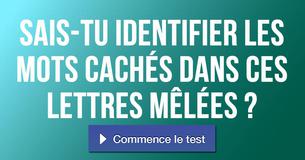Sais-tu identifier les mots cachés dans ces lettres mêlées ?